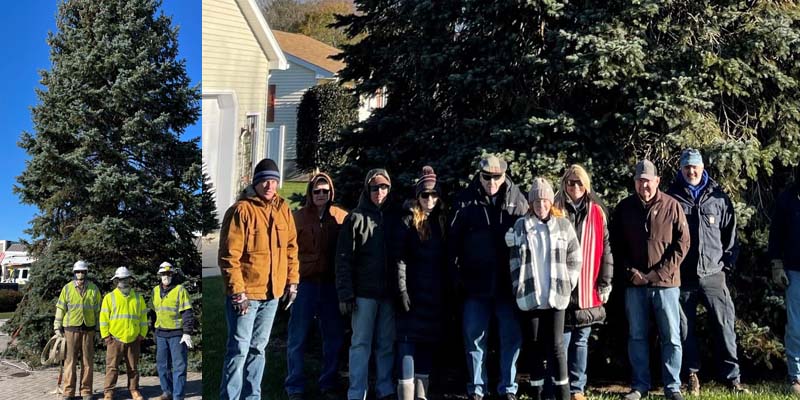 Rehoboth Beach Christmas Tree Up and Ready to Go