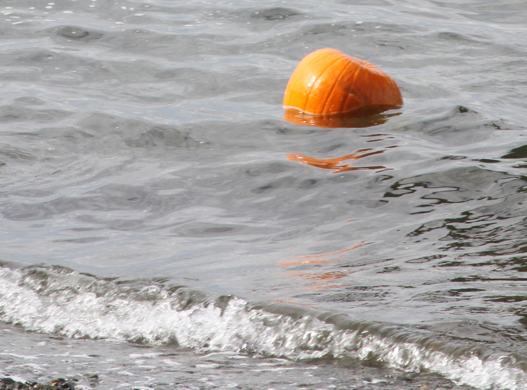 Pierce County divers call off search for "missing" swimmer near Dash Point, here's why
