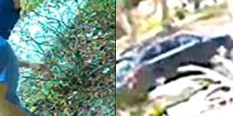 Porch Pirate Season Officially Begins in Charelston County