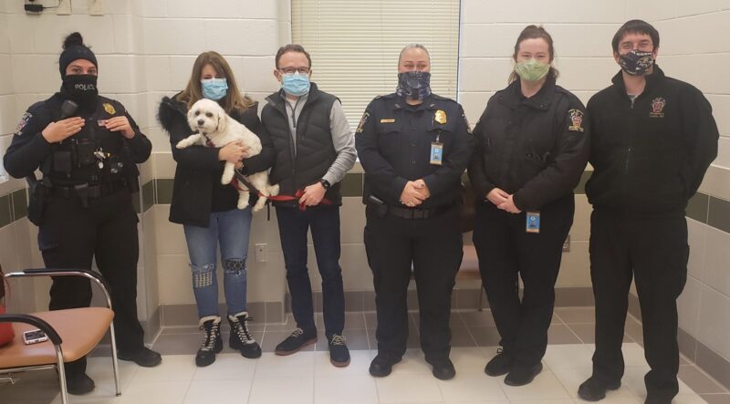 Watch: Man who stole car with dog inside arrested when he tried to bring "stray dog" to pound
