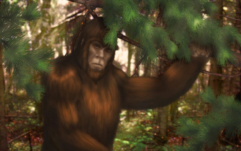 Lawmaker introduces bill to allow for Big Foot hunting season