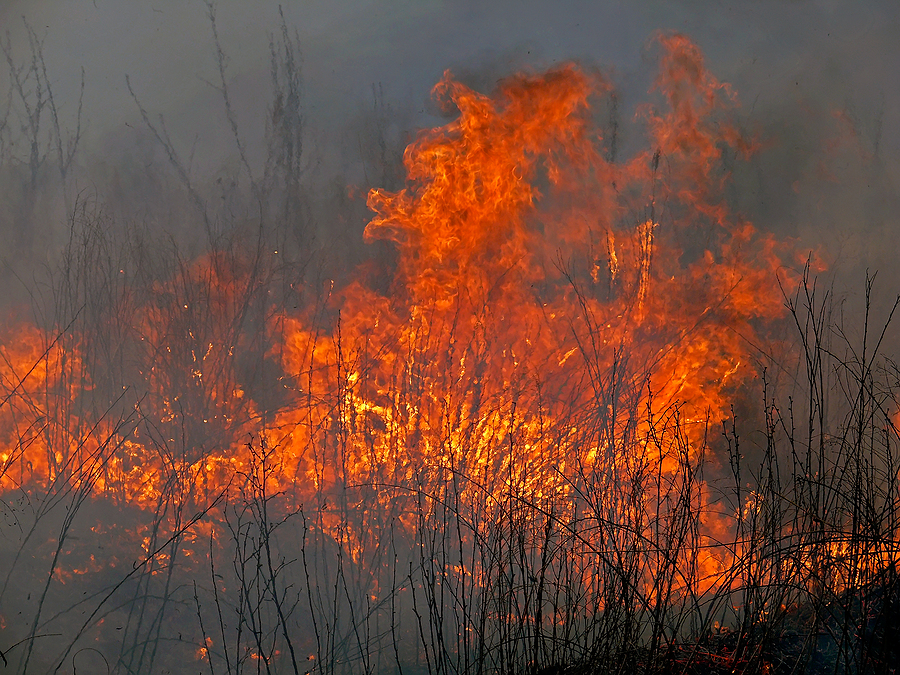 Pemberton Firebug Charged with Setting Forest Fire