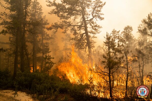PHOTOS: South Jersey Forest Fire Burns 13,500 Acres, State Says 95% Contained