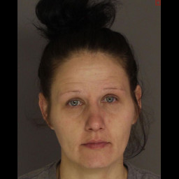 Cleaner Arrested for Multiple Thefts in Mechanicsburg Area