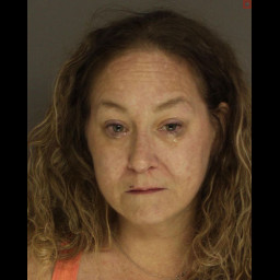 Woman Arrested for Stabbing Incident at Carlisle Hotel