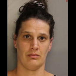 Domestic Violence Arrest in Bradford Leads to Multiple Charges
