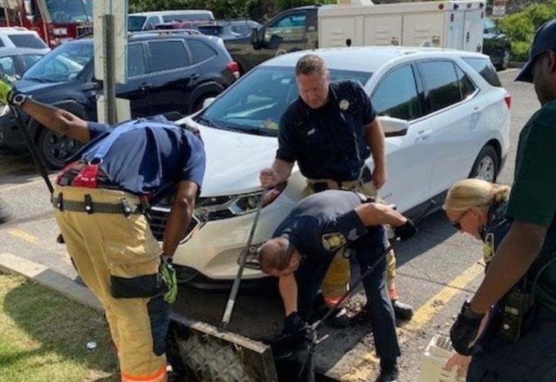 Syracuse Firefighters and Animal Cruelty Officers Unite to Save Ducklings Trapped in Sewer