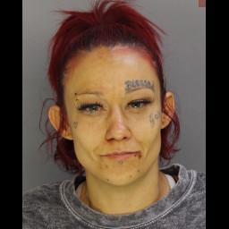 Theft at Westtown Giant Leads to Arrest