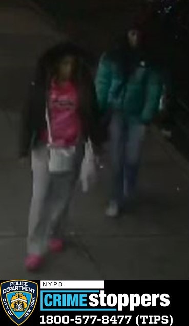 Assault and Robbery at Hoyt Street Subway Station Leaves Man Injured