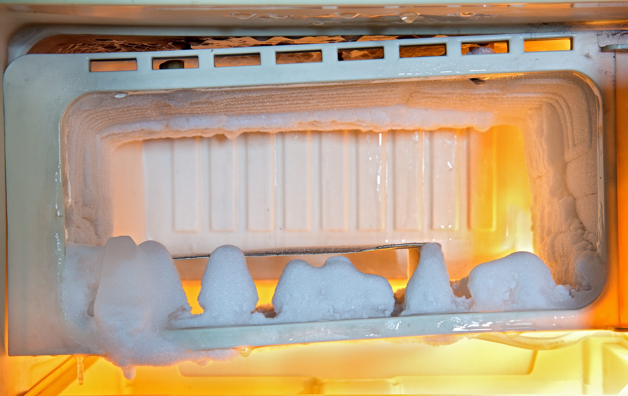 No Charges to be Filed After Dead Babies Found in Boston Freezer
