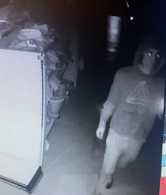 Do You Know Them? Police Searching for Burglary Suspects in Norfolk