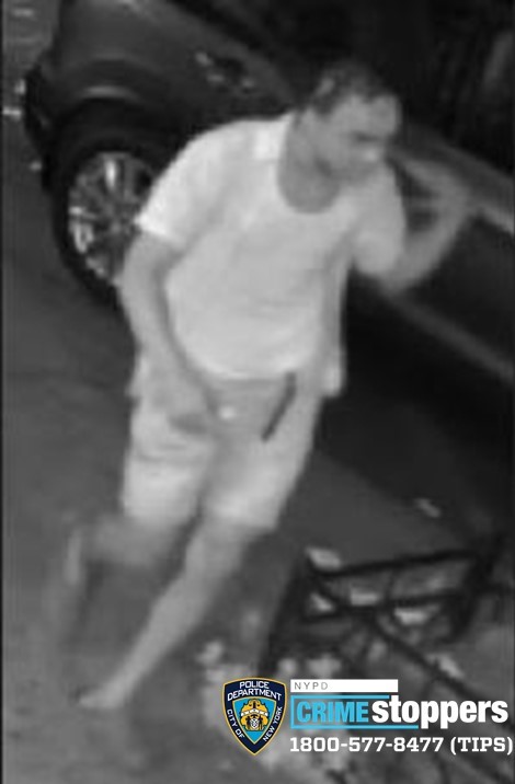 Carjacking Incident on Burke Avenue in the Bronx