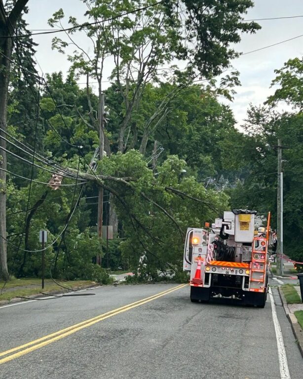 Road Closure on Grandview Avenue Due to Fallen Tree and Power Lines