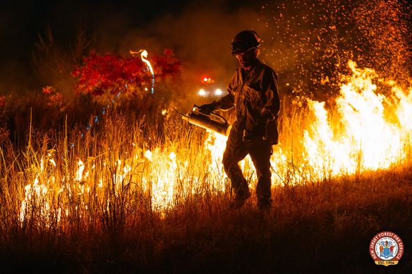Berkeley Fire Reaches Full Containment, Forest Fire Service Reports