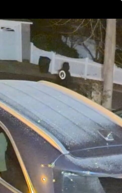 Leonia police investigate string of vehicle thefts on Chestnut Street