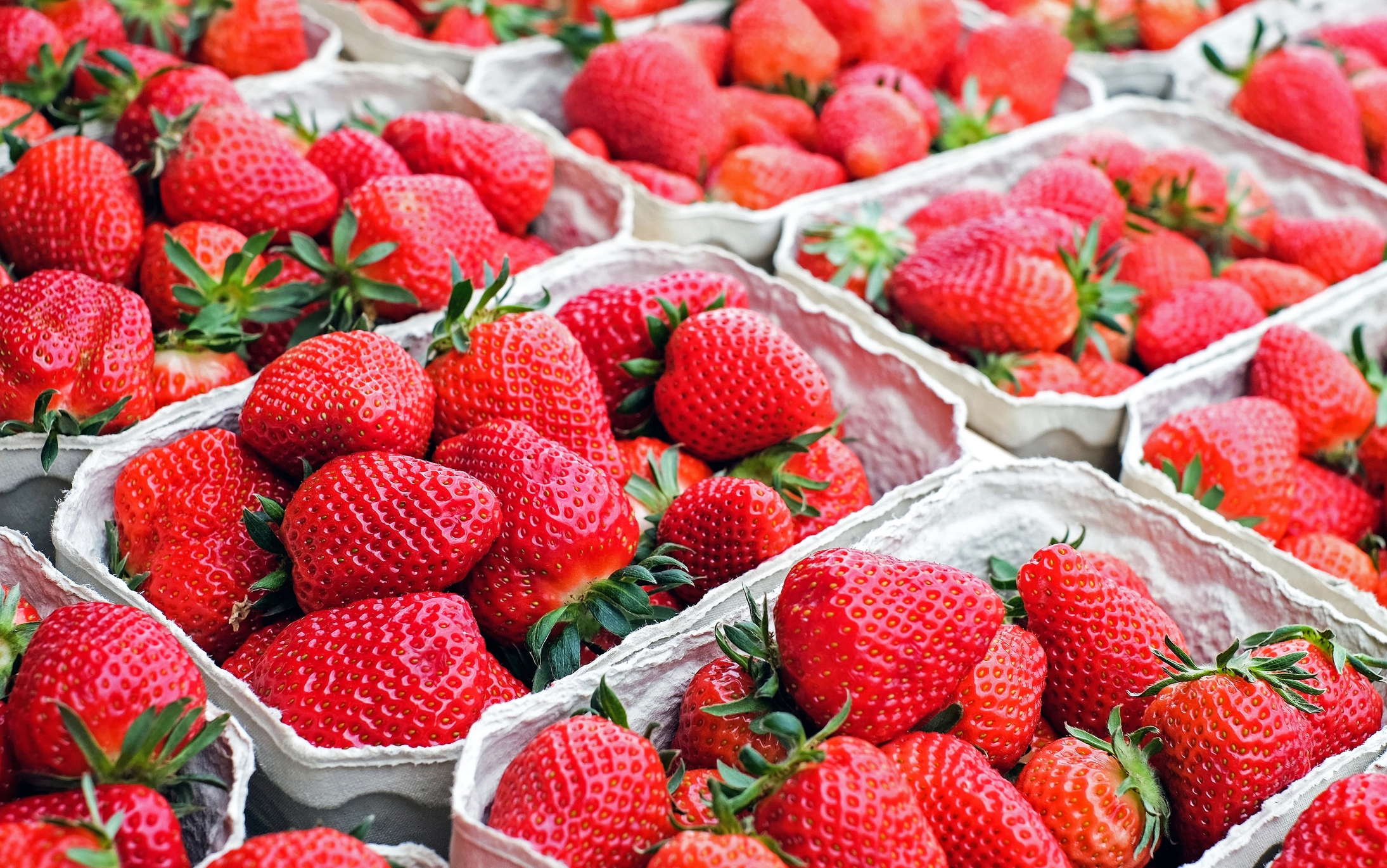 Peddler’s Village Strawberry Festival returns May 3–4 with food, fun, and contests
