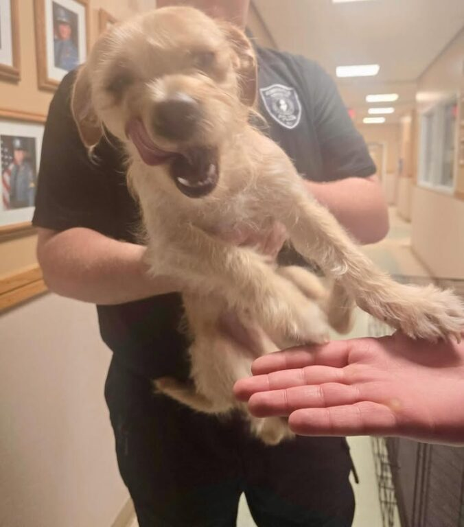 Robbinsville cops save little dog on busy highway Robbinsville cops save little dog on busy highway