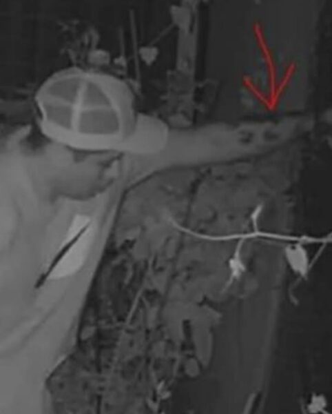 Newark police seek suspect in violent assault and robbery Newark police seek suspect in violent assault and robbery