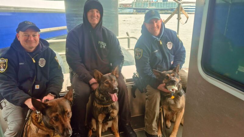 Brick police k9 teams join fbi-led nyc port drug search